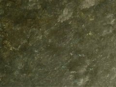 Advocatus