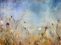 Wildflower Meadow