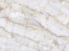 Elegant Marble Texture