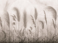Feathergrass Twilight - Siva