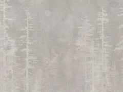 Misty Forest