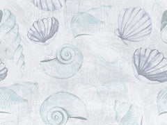 Shells Formation