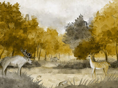Serene Forest Scene
