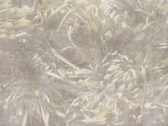 Serene Feathered Dream
