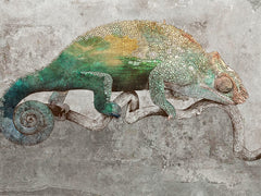 Chameleon On Branch