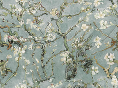 Blossoming Almond Tree