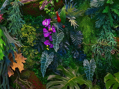 Tropical Foliage Dreams