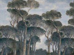Izdvojeno Pleme - Plava