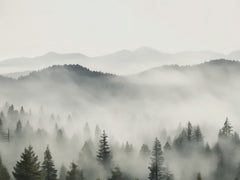 Misty Mountain Forest