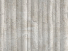 Bamboo Grove