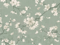 Hanami
