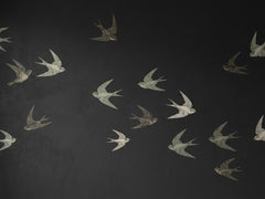 Midnight Swallows