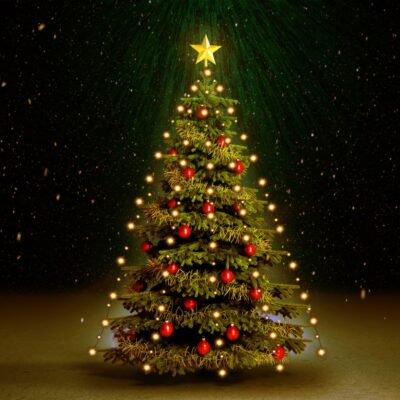 Mrežasta rasvjeta za božićno drvce sa 150 LED žarulja 150 cm Dom i vrt Naručite namještaj na deko.hr