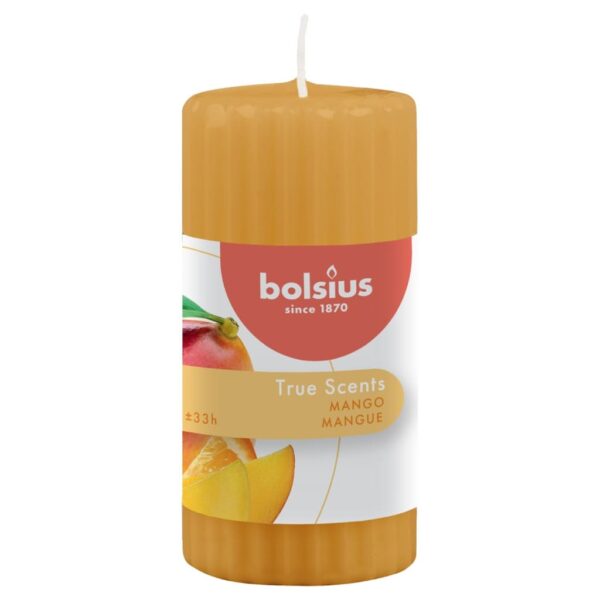 Bolsius rebraste debele mirisne svijeće 6 kom 120 x 58 mm mango Dom i vrt Naručite namještaj na deko.hr 21